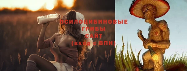 ALPHA PVP Верея